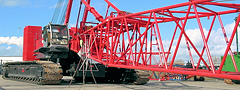 DARE!! Consultancy measures for Cranebusiness B.V.